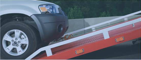 Heavy Hauling in Mango FL 
      33550